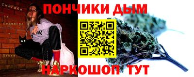 индика Жуковский