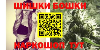 индика Жуковский