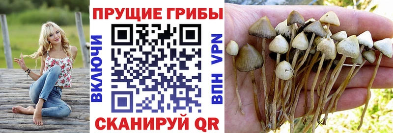 kraken зеркало  Лангепас  Галлюциногенные грибы MAGIC MUSHROOMS 