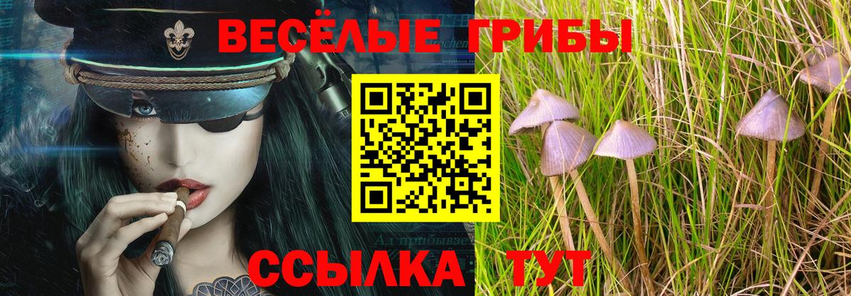 Галлюциногенные грибы ЛСД Лангепас